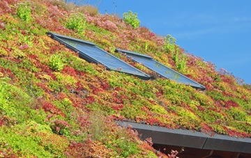 Perranzabuloe living roof systems